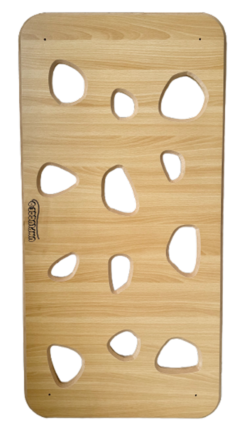 Climbing Wall