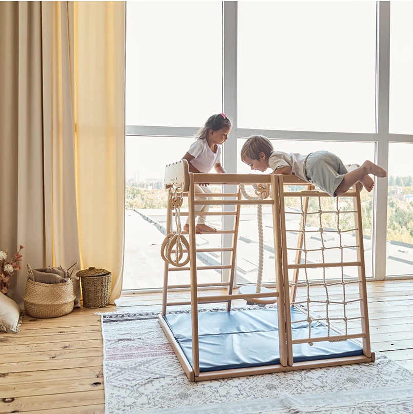 A picture of 2 kids playing with the jungle gym