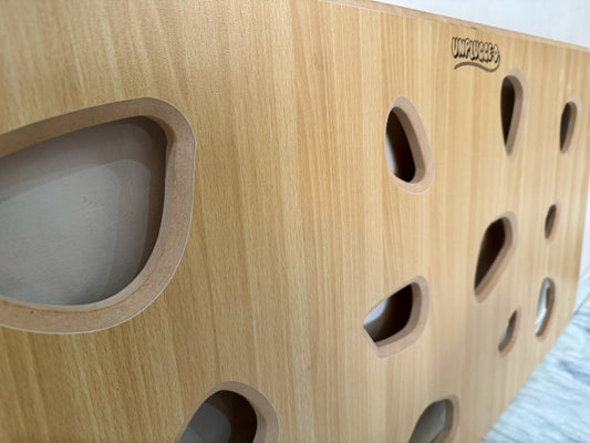 Climbing Wall